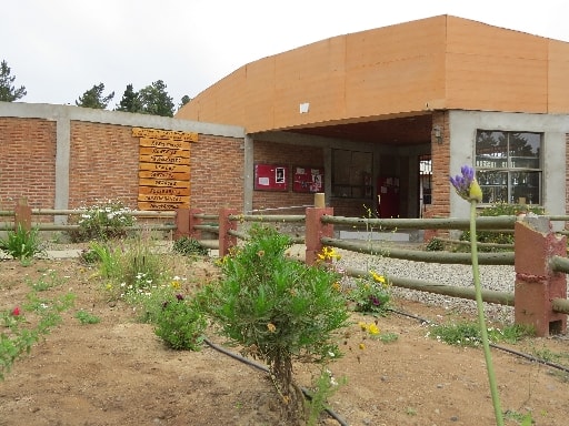 COLEGIO PUKALAN DE ALGARROBO