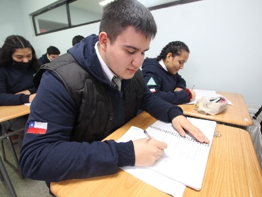 LICEO DOMINGO ORTIZ DE ROZAS