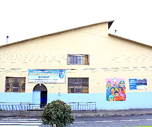 ESCUELA DIEGO PORTALES PALAZUELOS