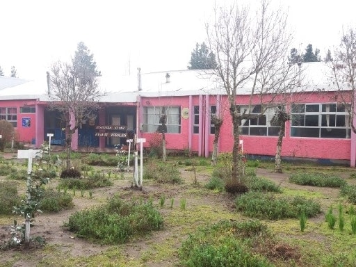 ESCUELA PUENTE PERALES