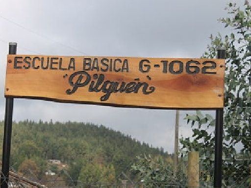 ESCUELA BASICA PILGUEN