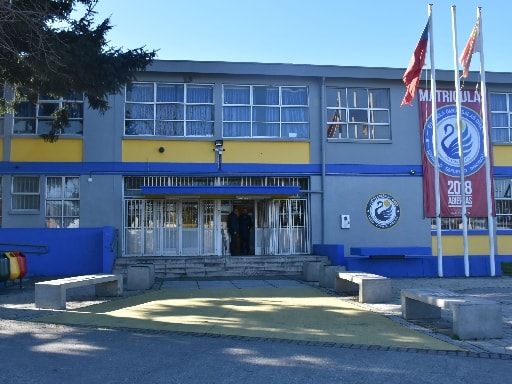 ESCUELA DARIO SALAS MARCHANT