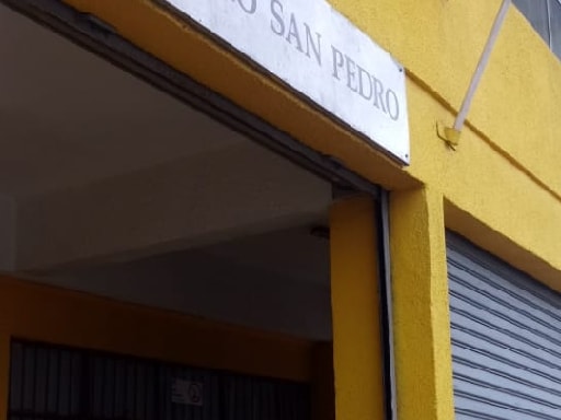 COLEGIO PARTICULAR SAN PEDRO