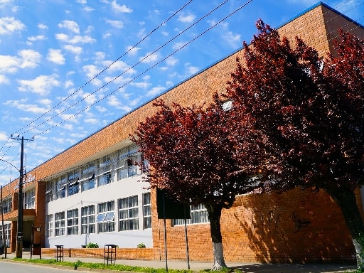 ESCUELA LEONCIO ARANEDA FIGUEROA