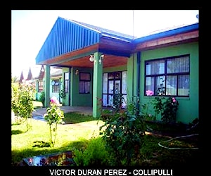 ESCUELA BASICA VICTOR DURAN PEREZ