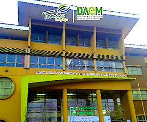 ESCUELA CAMPOS DEPORTIVOS