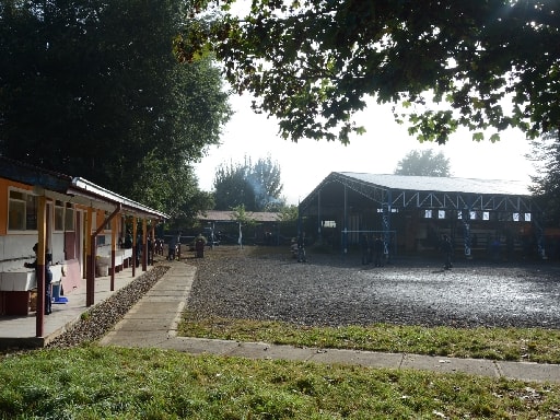 ESCUELA PARTICULAR ROBLE HUACHO