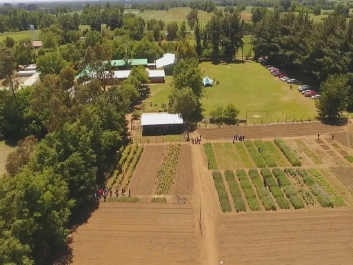 LICEO AGRICOLA CRUZ DEL SUR