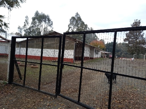 ESCUELA PARTICULAR RUPAYAN DE MALLOHUE