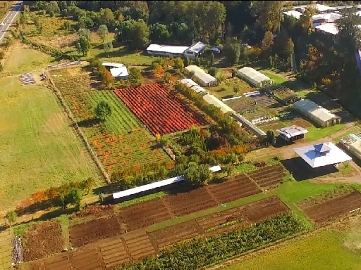 LICEO AGRICOLA PUQUEREO