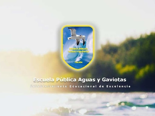 ESCUELA AGUAS Y GAVIOTAS