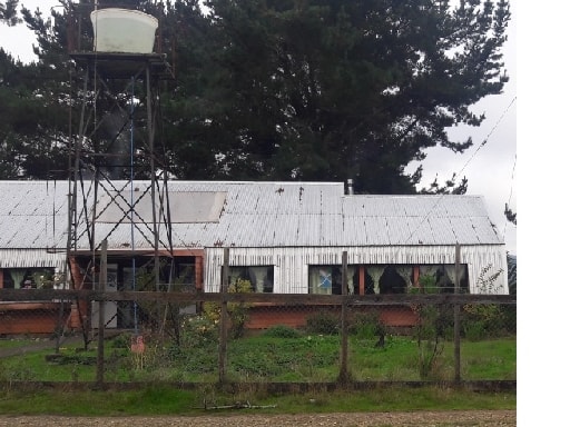 ESCUELA BASICA LOS AVELLANOS