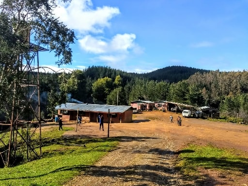 ESCUELA PARTICULAR BELLAVISTA