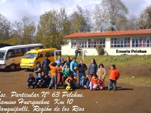 ESCUELA PARTICULAR PELEHUE