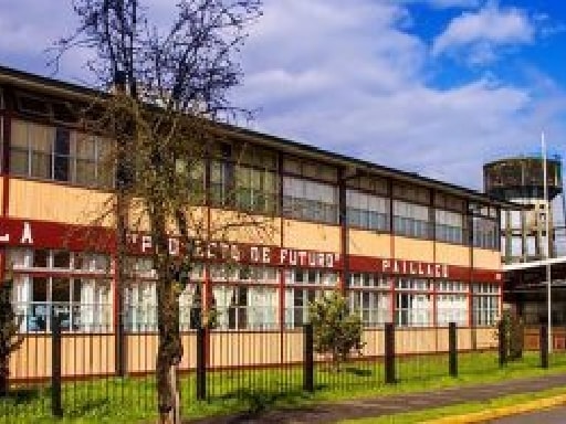 ESCUELA PROYECTO DE FUTURO