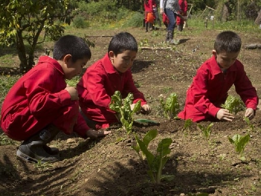 ESCUELA RURAL PICHIL