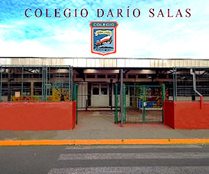 COLEGIO DARIO SALAS