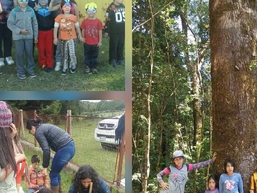 ESCUELA RURAL MARIO ENRIQUE GUZMAN ACEVEDO