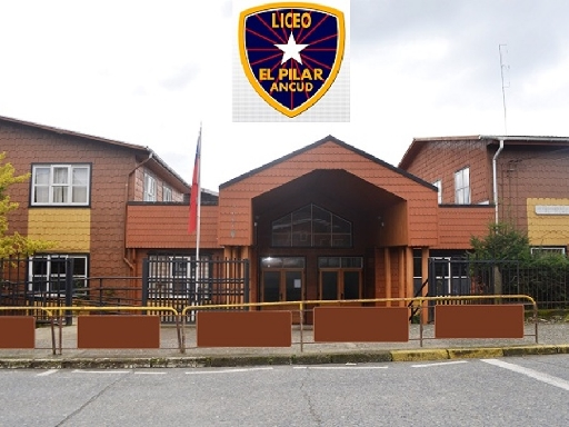 LICEO COMERCIAL EL PILAR