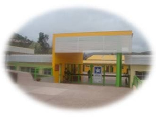 ESCUELA BASICA JUANITA FERNANDEZ SOLAR