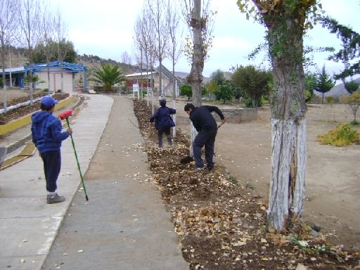 Imagen de galería