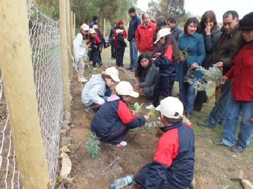 ESCUELA BASICA LAS CHINCHILLAS DE COCOU