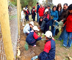 ESCUELA BASICA LAS CHINCHILLAS DE COCOU