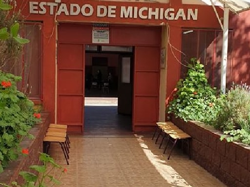 ESCUELA ESTADO DE MICHIGAN