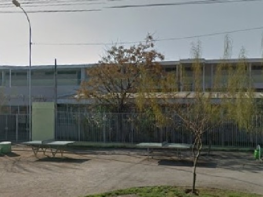 LICEO NUEVO PORVENIR