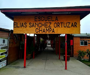 ESCUELA ELIAS SANCHEZ ORTUZAR