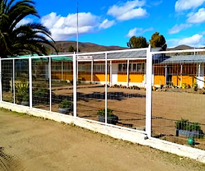 ESCUELA PARTICULAR EL CHILCAL