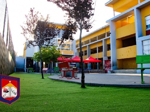 COLEGIO LUIS CRUZ MARTINEZ