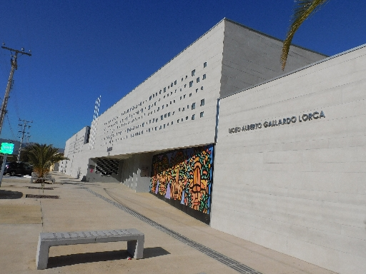 LICEO ALBERTO GALLARDO LORCA