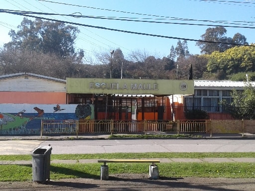 ESCUELA MAULE