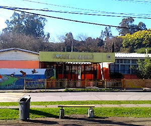 ESCUELA MAULE