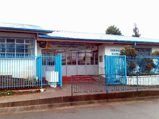 COLEGIO BASICO LOS LOBOS