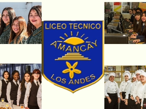 LICEO TECNICO AMANCAY