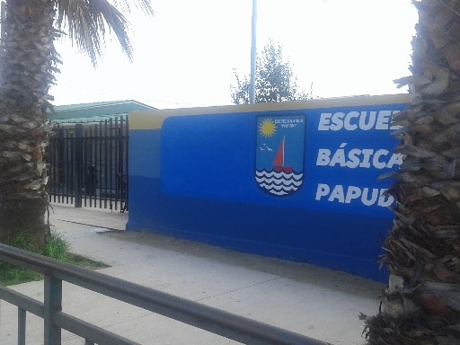 ESCUELA PAPUDO