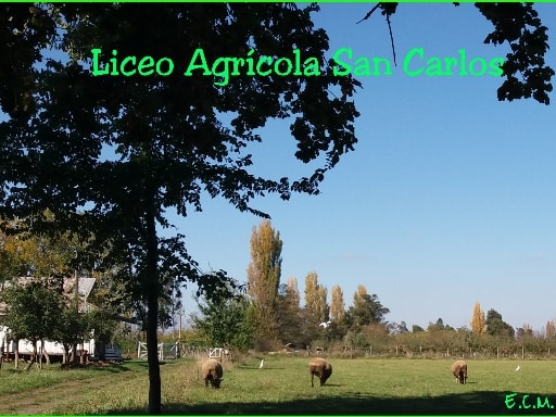 LICEO AGRICOLA SAN CARLOS