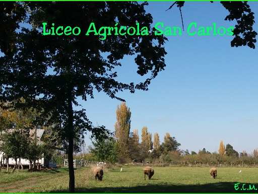 LICEO AGRICOLA SAN CARLOS