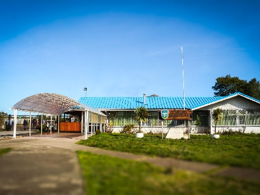 LICEO POLIVALENTE HERMANAS MAESTRAS DE LA SANTA CRUZ