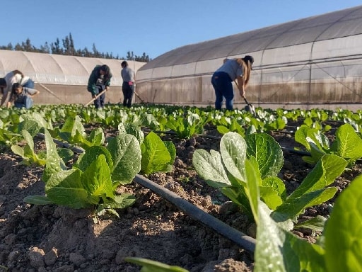 ESC. FAMILIAR AGRICOLA VALLE DEL ELQUI