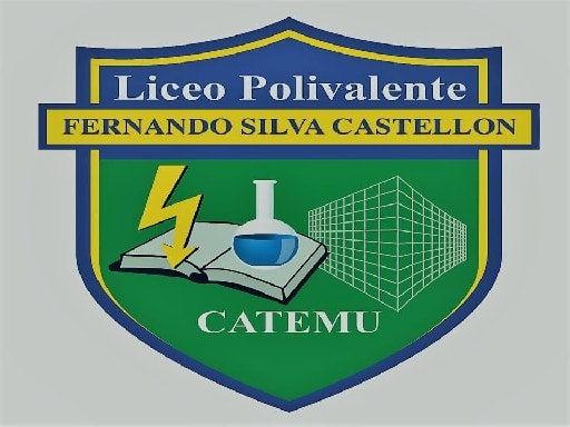 LICEO BICENTENARIO POLIVALENTE FERNANDO SILVA CASTELLÓN