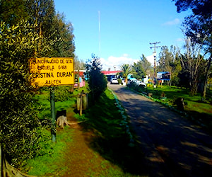 ESCUELA CRISTINA DURAN