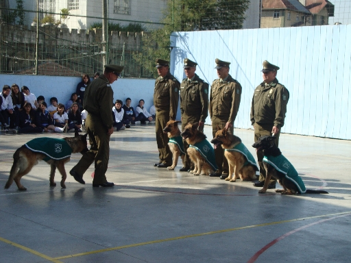 Imagen de galería