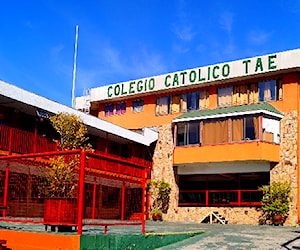 COLEGIO THOMAS ALVA EDISON