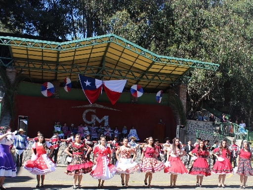 COLEGIO MANANTIAL