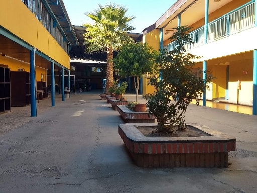 COLEGIO APUMANQUE