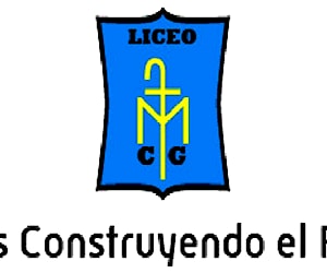 LICEO MONSEÑOR CARLOS GONZÁLEZ CRUCHAGA