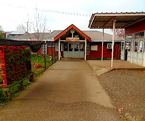 COLEGIO BEATO DAMIÁN DE MOLOKAI